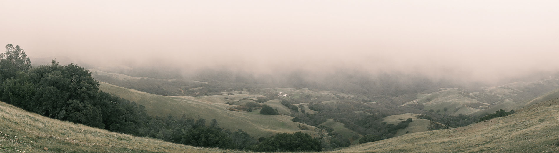 Mountain Diablo State Park